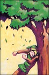 sba-dash.jpg