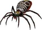spider.jpg