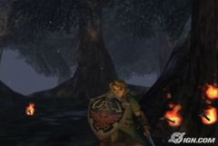 zelda12.jpg