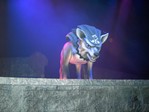 TP-WolfDummy.jpg