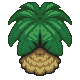 Filename=FSA_Palm_Tree.png
Filesize=2KB
Dimensions=80x80
Date added=Mar 07, 2006 FSA_Palm_Tree.png