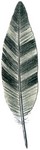 Filename=g-roc-feather.jpg
Filesize=14KB
Dimensions=100x374
Date added=Feb 25, 2006 g-roc-feather.jpg
