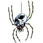 Filename=skullspider.jpg
Filesize=10KB
Dimensions=160x160
Date added=Mar 14, 2004 skullspider.jpg