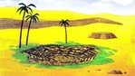 oasis.jpg