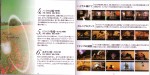10-11.jpg