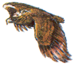 Filename=moby.gif
Filesize=13KB
Dimensions=163x145
Date added=Mar 14, 2004 moby.gif
