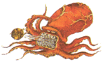 Filename=octorok.gif
Filesize=19KB
Dimensions=239x147
Date added=Mar 13, 2004 octorok.gif