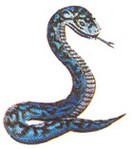 Filename=rope.jpg
Filesize=27KB
Dimensions=139x157
Date added=Mar 13, 2004 rope.jpg