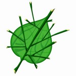 Filename=dekuleaf.jpg
Filesize=31KB
Dimensions=640x640
Date added=Mar 16, 2004 dekuleaf.jpg