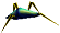 Bug.png