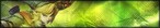Filename=linkbanner.jpg
Filesize=39KB
Dimensions=450x80
Date added=Aug 07, 2005 linkbanner.jpg