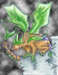 Filename=dragon resized.JPG
Filesize=237KB
Dimensions=847x1095
Date added=Jul 01, 2005 dragon resized.JPG