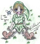 Link_and_Navi_2.jpg