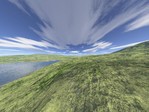 zoomy field.JPG