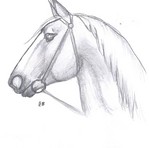 Filename=epona.jpg
Filesize=52KB
Dimensions=600x595
Date added=Aug 31, 2005 epona.jpg