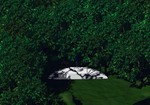 Filename=The_blade_rests....jpg
Filesize=102KB
Dimensions=864x605
Date added=Dec 25, 2006 The_blade_rests....jpg