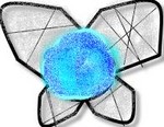 Filename=Navi.jpg
Filesize=9KB
Dimensions=195x151
Date added=Aug 08, 2006 Navi.jpg